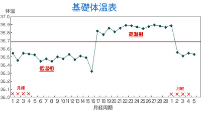 <strong>不妊症</strong>検査のための基礎体温表