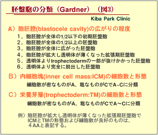 David Gardnerの分類(表)